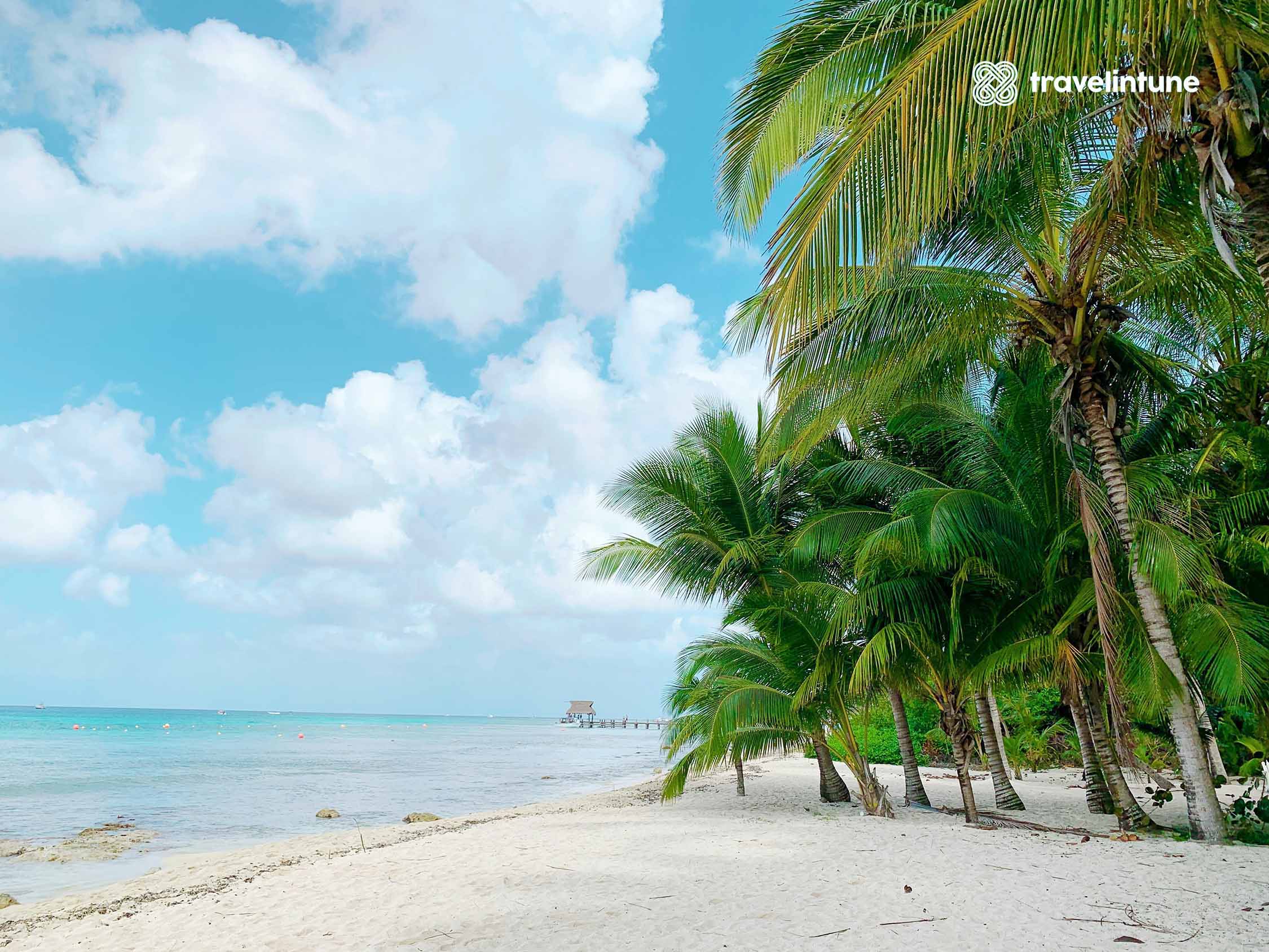 viaJAR A cOZUMEL